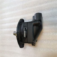 Parker F11-019-MB-CV-K-000-000-P0 F11-019-MS-SV-T Hydraulic Piston Motor F11-019-MS-SV-S F11-019-MB-CV-D-000-0000-0