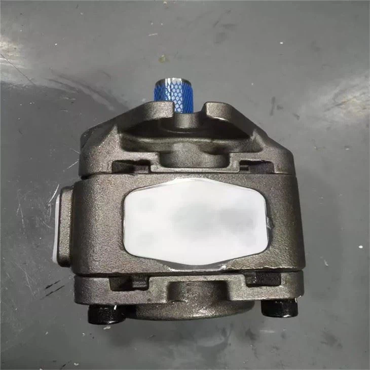 Sunny Hydraulic Pump HG2-125-01R-VPC-F HYTEK HG1-40-01R-VPC-36 For Injection Molding Machine Sunny Hydraulic Pump HG2-125-01R-VP